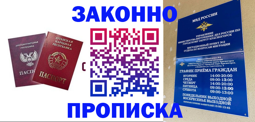 прописка в Клинцах